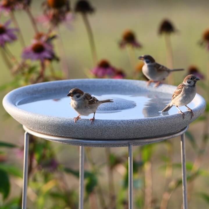 Granicium® Bird Bath with Stainless Steel Stand