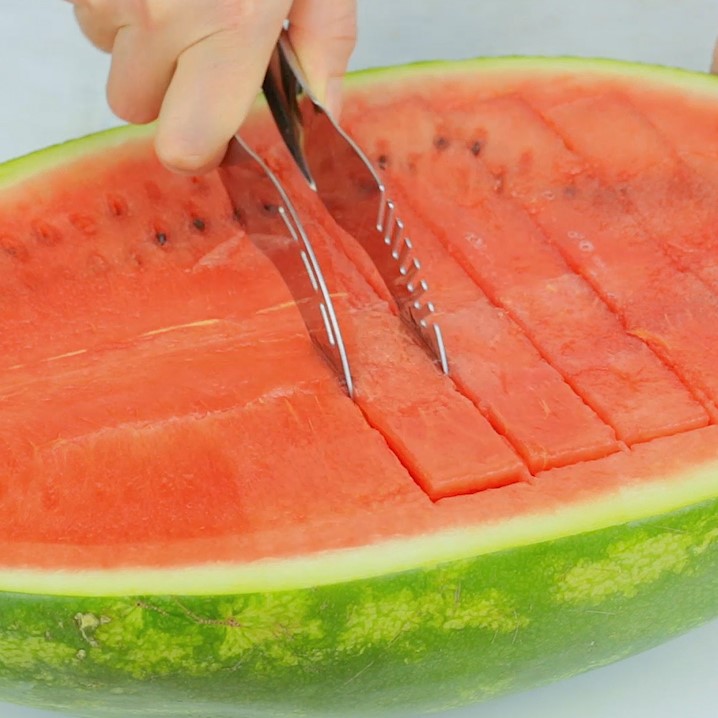 giannetti watermelon slicer